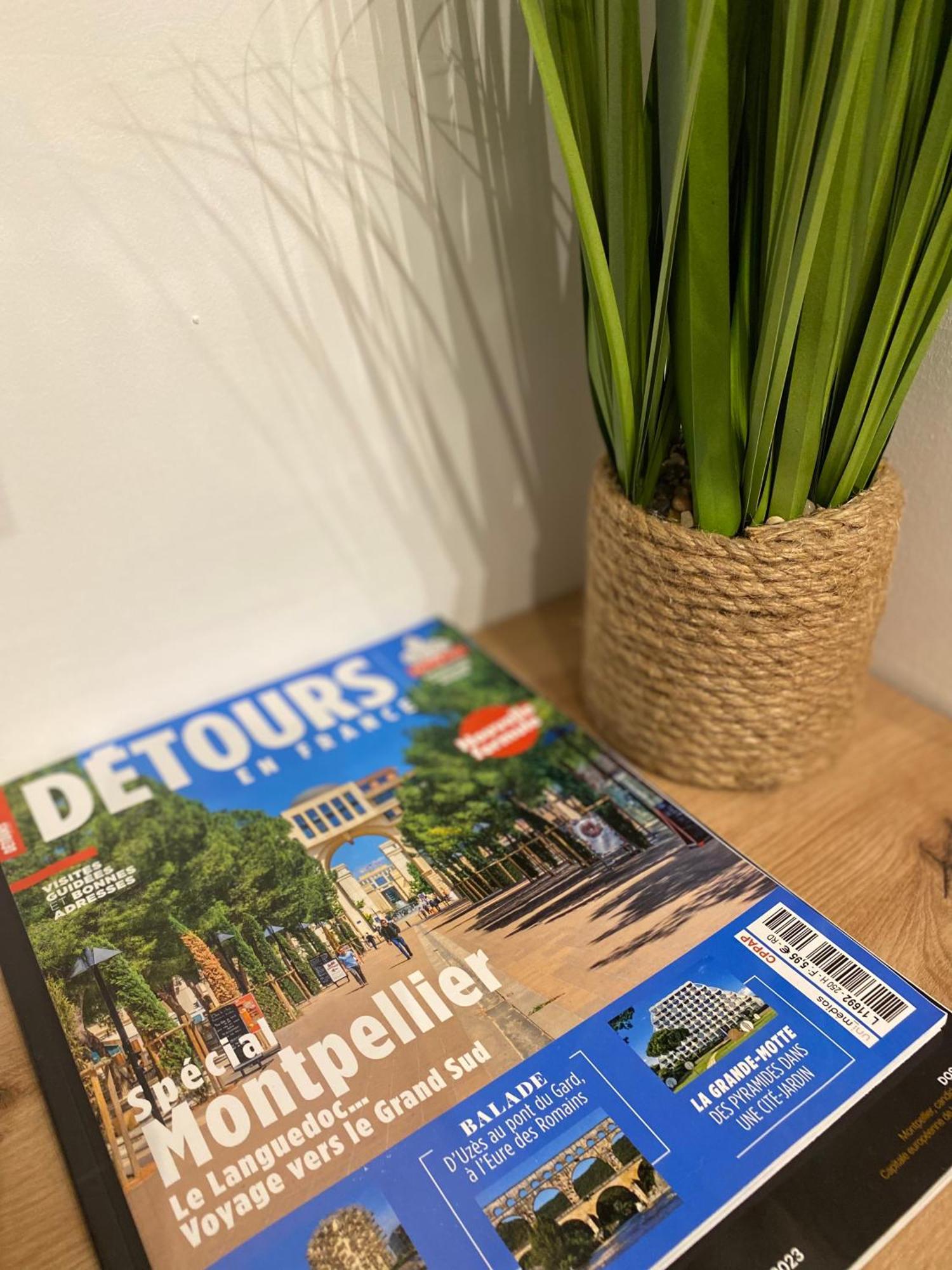Rives Du Lez - Prestige Leilighet Montpellier Eksteriør bilde